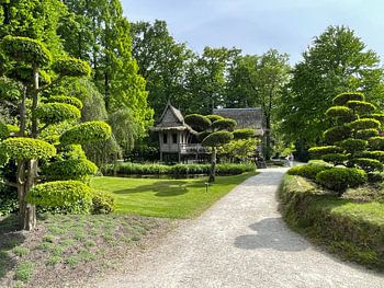 Chinese garden in spring