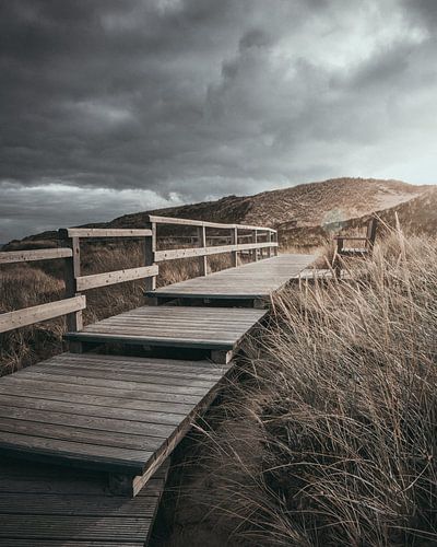 Bench on the beach of Sylt