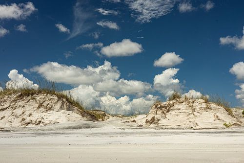 Dune at Anastasia Beach near Saint Augustine in Florida