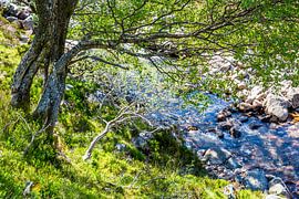 Wilder Gebirgsbach am Ben Nevis von Patrick Kilb