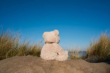 trauriger Teddybär mit Fernweh am Strand von Warnemünde von Heiko Kueverling