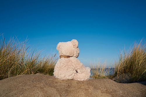 ours en peluche triste avec le désir d'errer sur la plage de Warnemünde