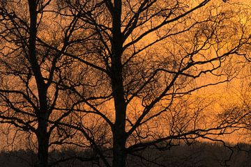 Zonsopkomst van Moetwil en van Dijk - Fotografie