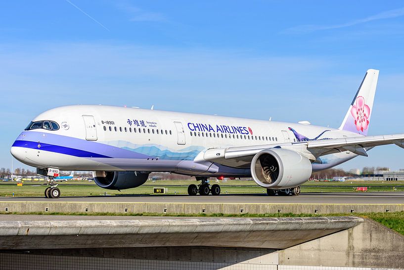 China Airlines Airbus A350 with Mikado Pheasant livery. by Jaap van den Berg