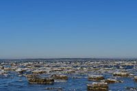 Ice on the tidal flats