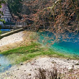 Close up van het Blautopfmeer in Blaubeuren in Duitsland met groene algen van creativcontent