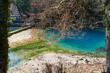 Close up van het Blautopfmeer in Blaubeuren in Duitsland met groene algen van creativcontent