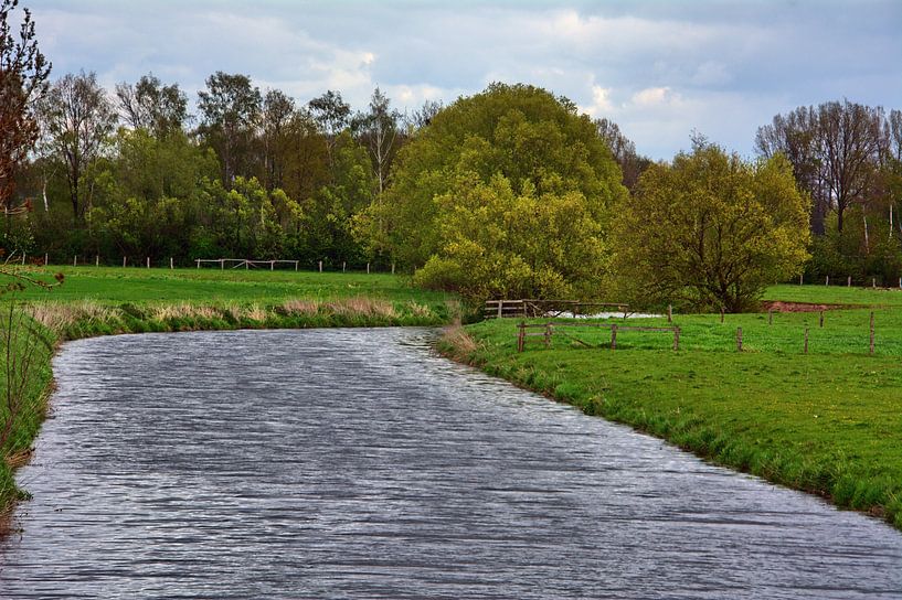 le Stever par Edgar Schermaul