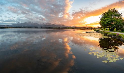 Zonsondergang over de Hopfensee met panoramisch uitzicht