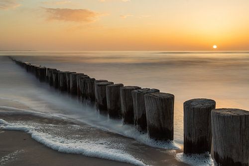 perches dans la mer au coucher du soleil