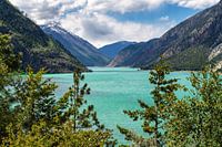 Turquoise-groen Seton Lake bij Lillooet in British Columbia, Canada.