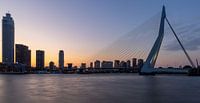 Erasmus bridge and sky line Rotterdam city centre by night