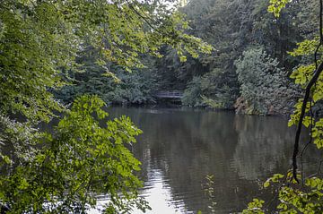 Hidden More by Heleen de Silva