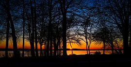 mare Bavaria von artpictures.de