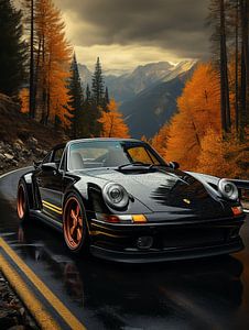 Porsche noire dans un paysage de montagne_8
