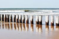 Palen in Zeeland