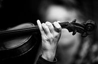 Violin van Rene Kuipers thumbnail