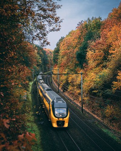 Train through autumn scenery in Oosterbeek