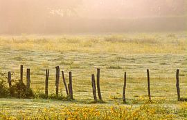 Bonjour France... (Landscape in France) by Caroline Lichthart