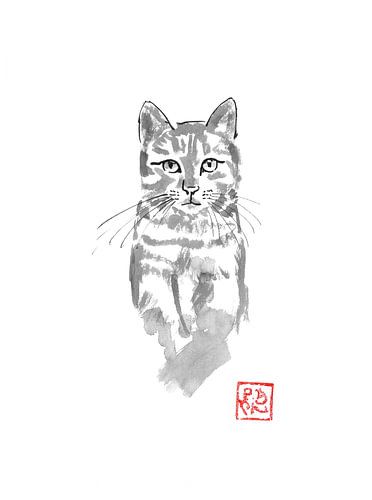 kat in de boom kijken