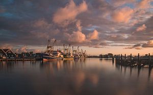 Hafen Oudeschild von Johannes Stouten