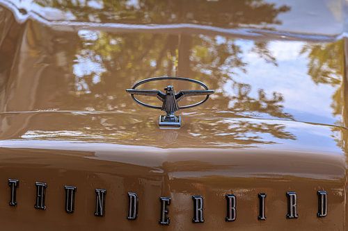 Klassieke auto : Thunderbird motorkap