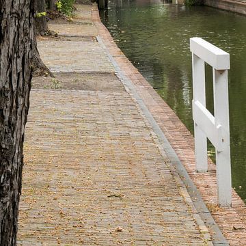 Utrecht - Nieuwegracht boom en hek van Wout van den Berg