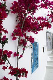 Zomer op het eiland Santorini van haroulita