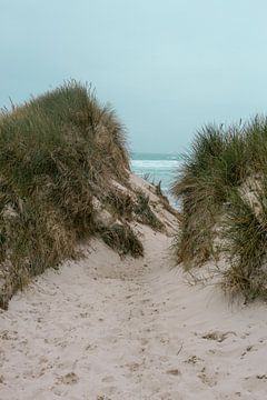 Dunes in Brittany | Sea views photo print | France travel photography by HelloHappylife