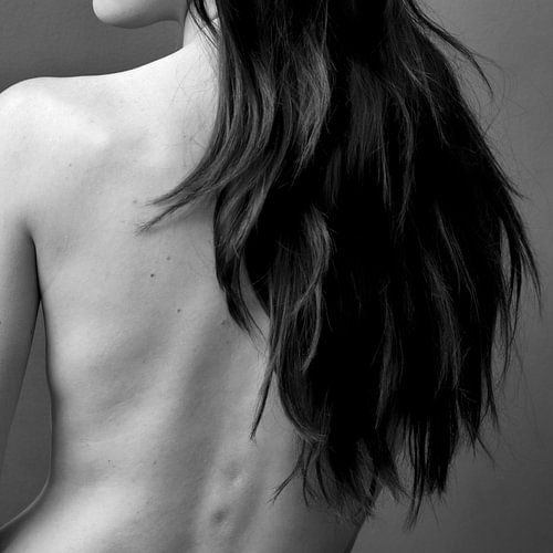 Velvet fine art nude fotografie serie