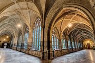 Kloostergang Sint-Pauluskathedraal Luik par Dennis van de Water Aperçu