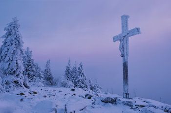 Winter at the Lusen - Bavarian Forest