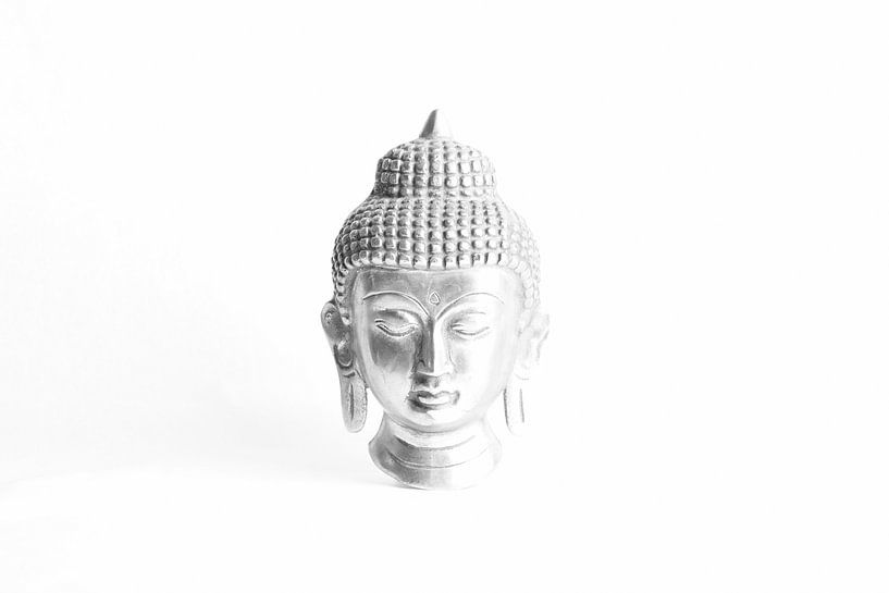 buddha von sarp demirel