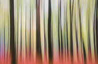 Wald-Art "Forest Trip" von Coen Weesjes Miniaturansicht