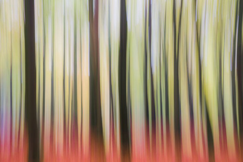 Wald-Art "Forest Trip" von Coen Weesjes
