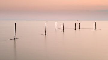 Sonnenuntergang rosa Himmel und Meereslandschaft mit Pfählen und Fischernetzen von Elles Rijsdijk