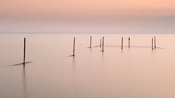 Sunset pink sky and sea landscape with poles and fishing nets by Elles Rijsdijk