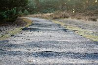 Broken path
