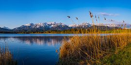 Hopfensee by Walter G. Allgöwer