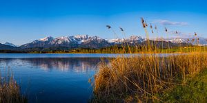 Hopfensee