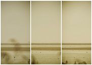 lauwersmeer triptychon 24 von anne droogsma Miniaturansicht