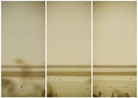 lauwersmeer triptych 24