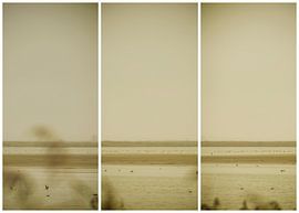 lauwersmeer triptych 24 by anne droogsma