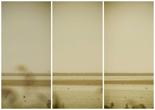 lauwersmeer triptych 24