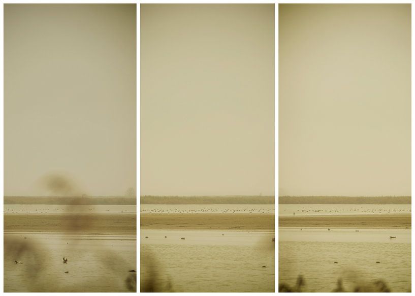 lauwersmeer triptychon 24 von anne droogsma