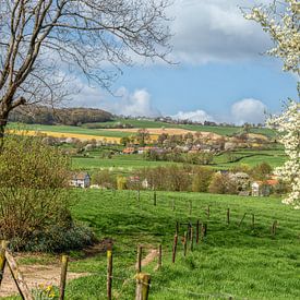 Bloesem in Zuid-Limburg van John Kreukniet