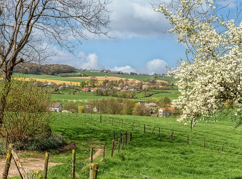 Bloesem in Zuid-Limburg van John Kreukniet