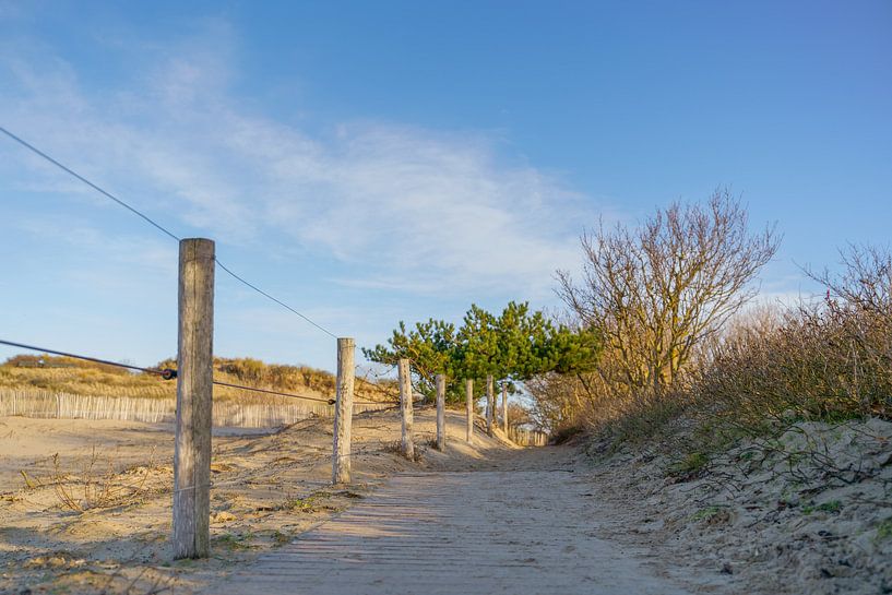 Sentier à travers les dunes par Captured By Manon
