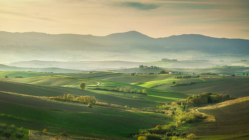Tuscan Rolling Hills Landscape at Sunset near Santa Luce