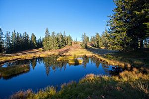 Herbstliche Naturlacke